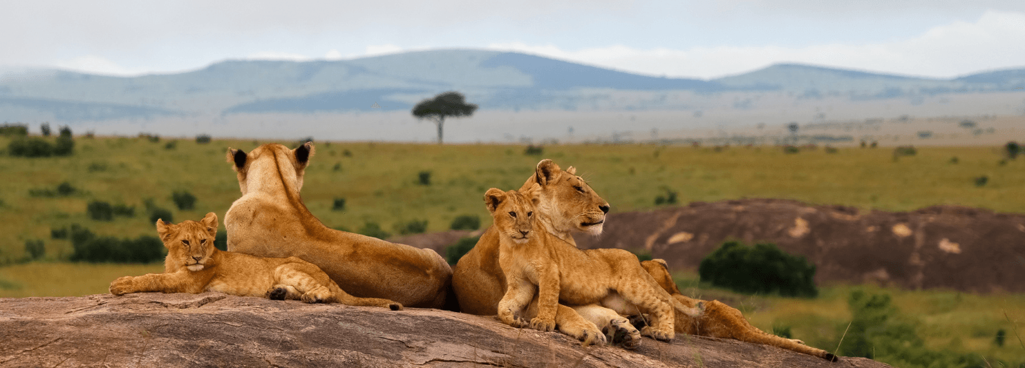 Luxury safari experiences in Kenya including Masai Mara balloon safari, biplane safari and bush breakfast