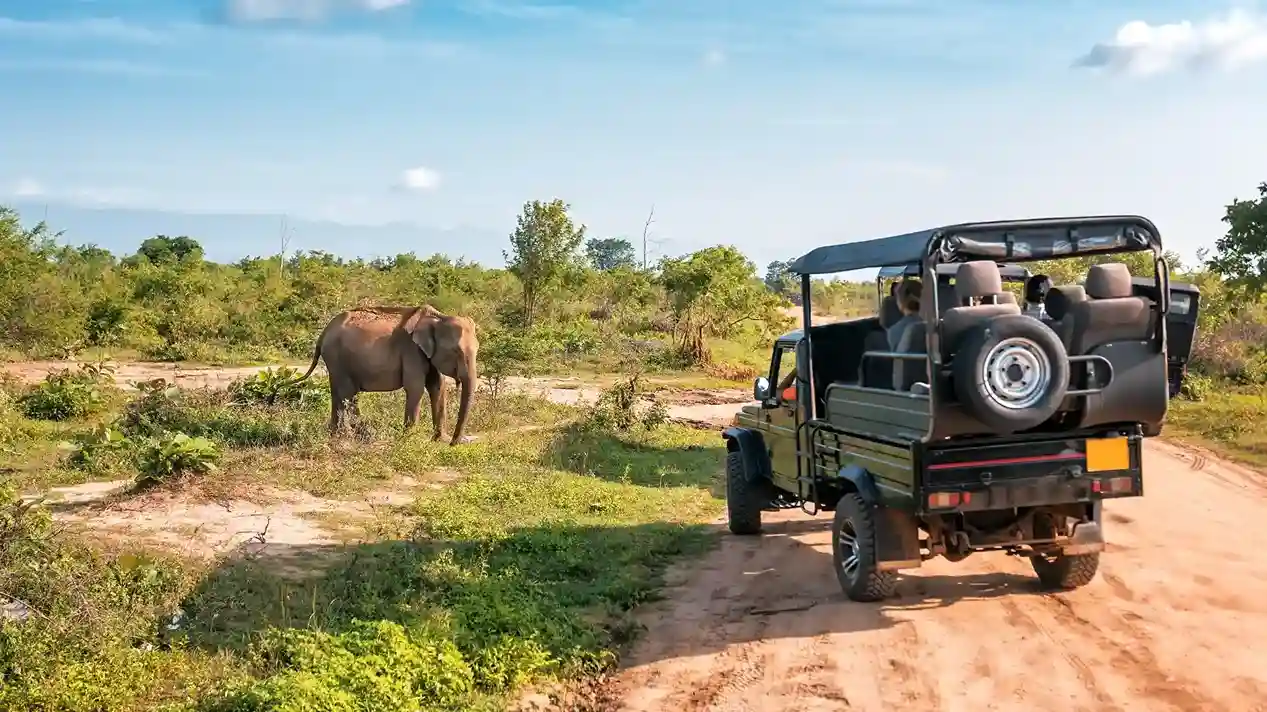 Kenyan landscapes showcasing savannahs, wildlife, and cultural experiences, highlighting iconic safari and travel opportunities