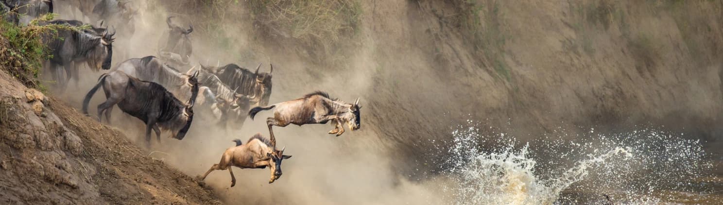 Kenya safari experience with wildlife on open savannah and scenic landscapes highlighting unique travel adventures in Maasai Mara