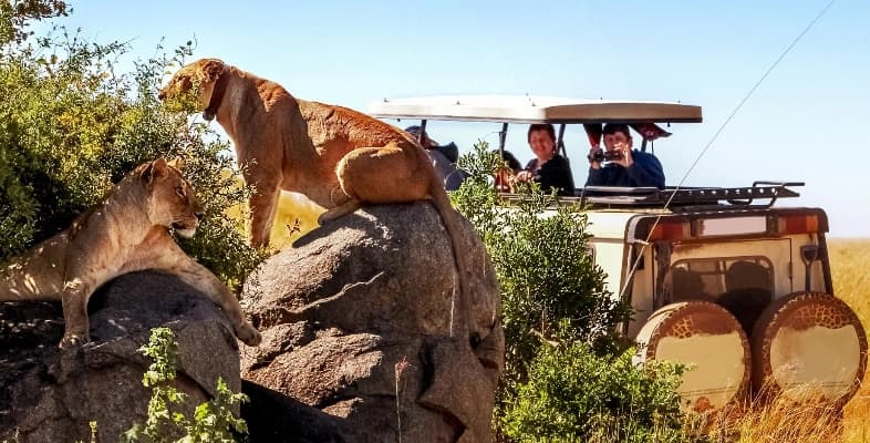 Safari vehicle observing wildlife in Maasai Mara National Reserve, Kenya