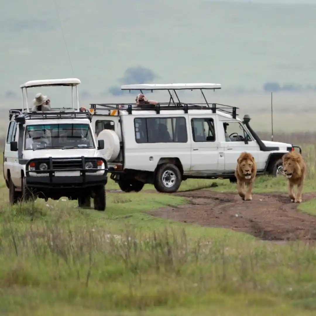 Maasai Mara