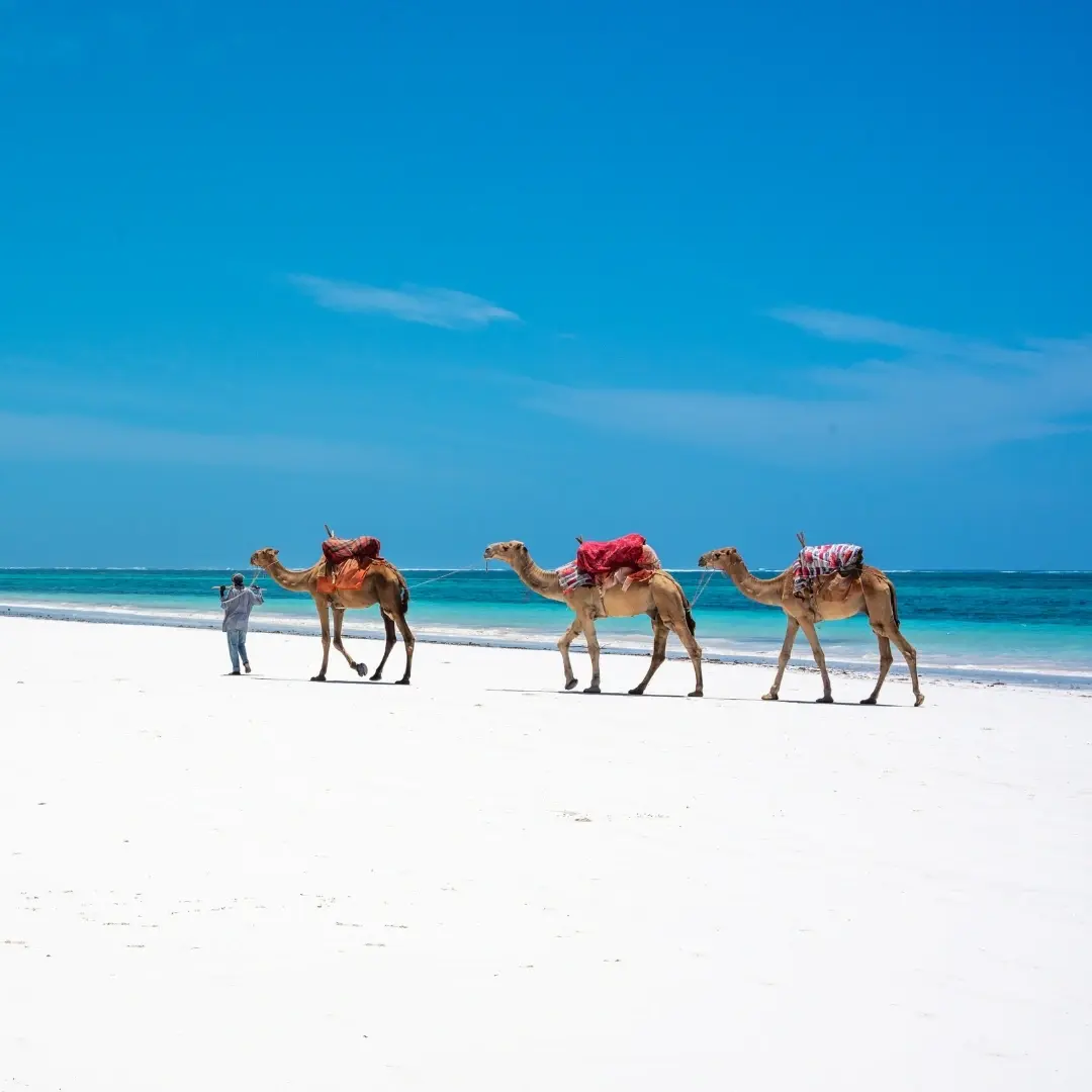 Mombasa