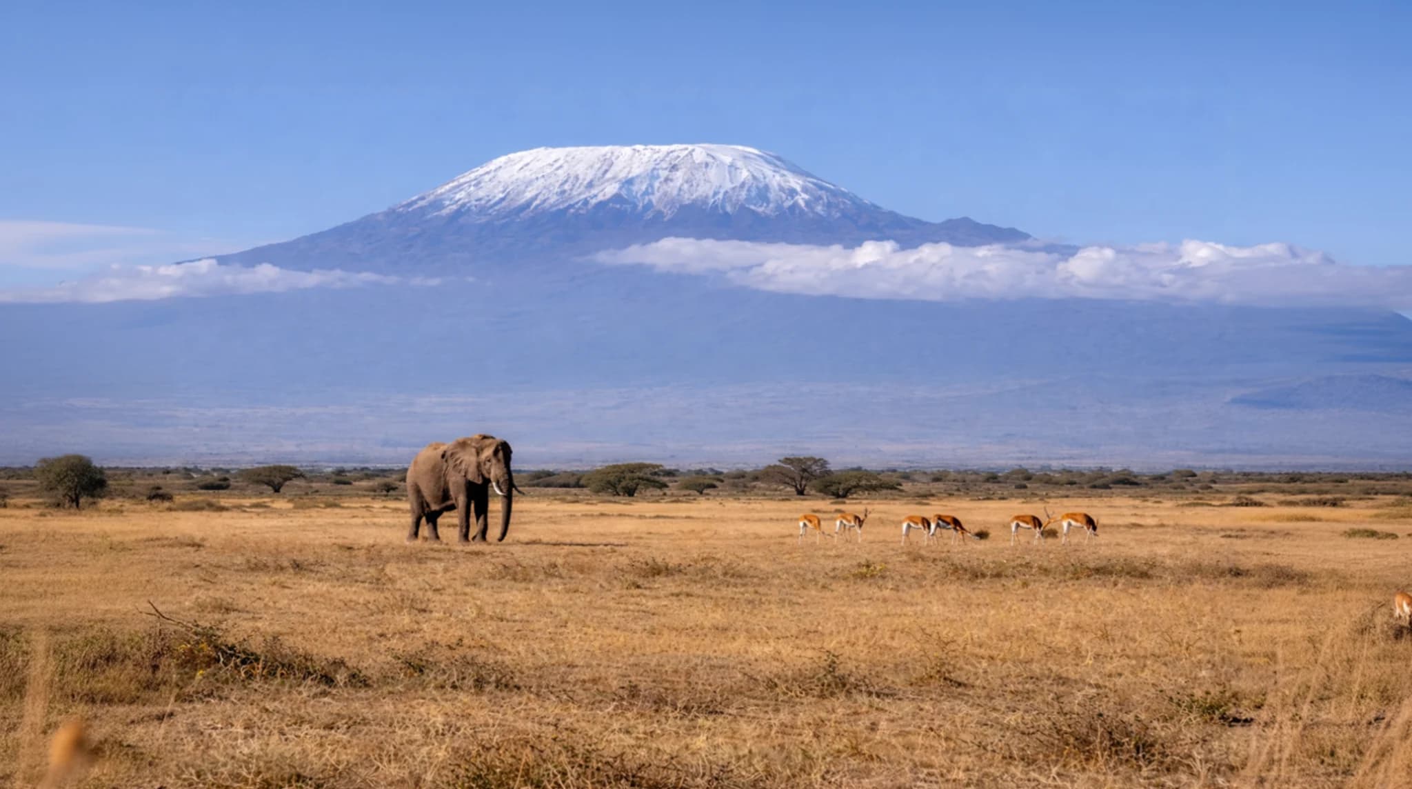 Great Wall of Kenya
