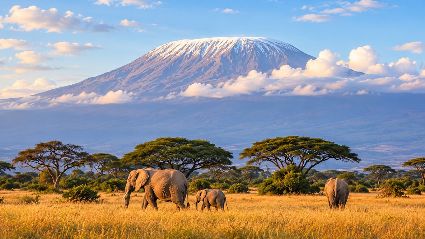 Great Wall of Kenya