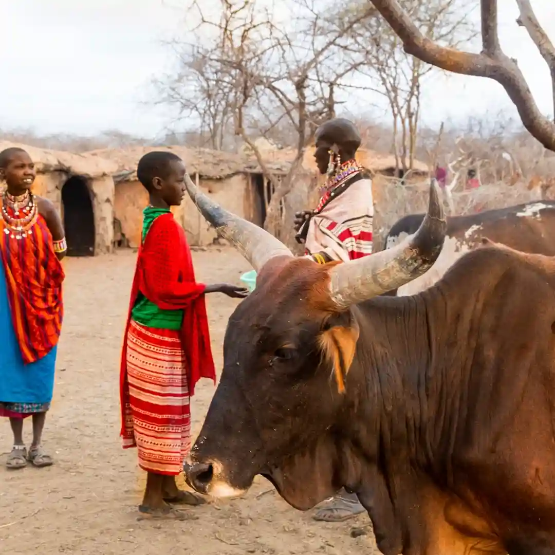Maasai people performing traditional dance in a village in Maasai Mara