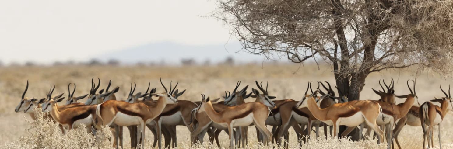 Maasai Mara National Reserve entry gate and park landscape