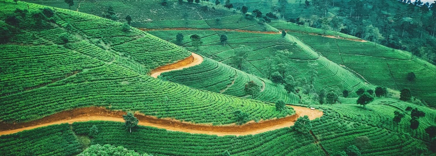 Great Wall of Sr Lanka