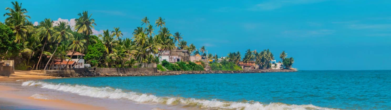 Scenic Sri Lanka travel experience featuring tropical beaches, lush tea plantations, cultural landmarks, and diverse landscapes popular with tourists