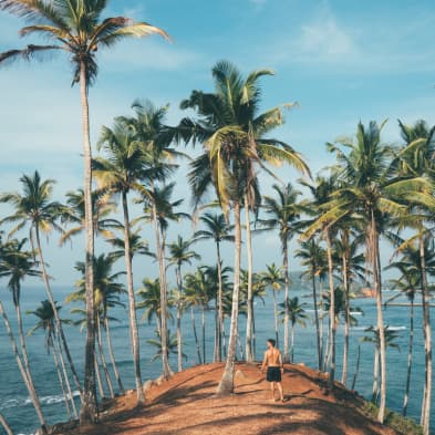 Coconut Tree Hill viewpoint overlooking the ocean in Mirissa