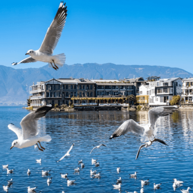 Private luxury yacht cruising Erhai Lake with the Cangshan Mountains in the background, Dali China