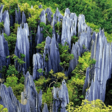 Private guided tour of the UNESCO-listed Stone Forest rock formations near Kunming China