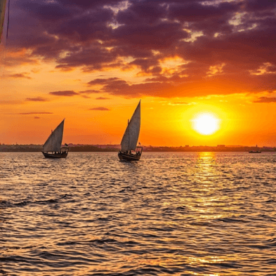 Traditional Swahili wooden dhow sailing past mangroves and stone ruins at sunset in Lamu Kenya