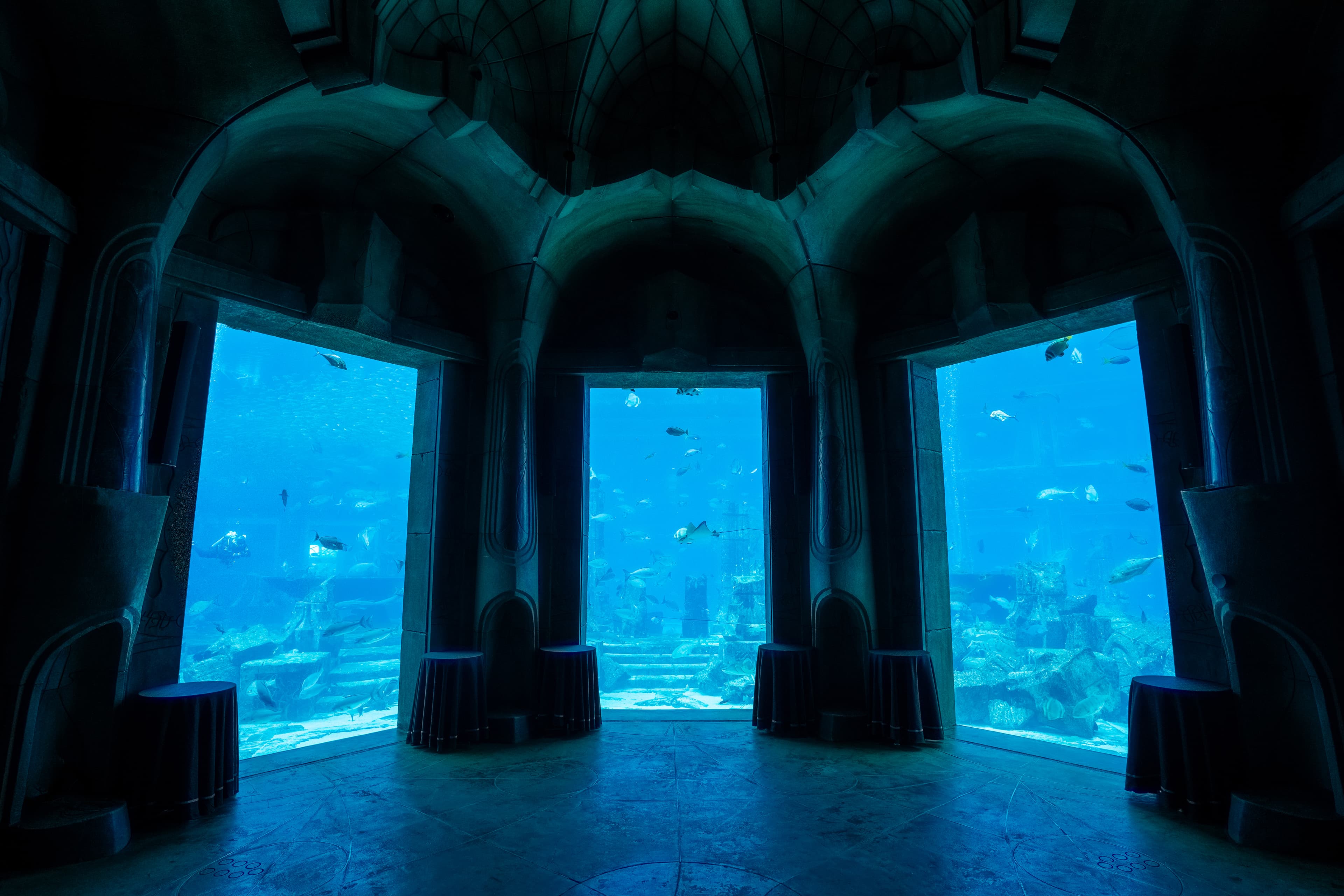 Dubai water park slides and pools offering a cool escape from the heat