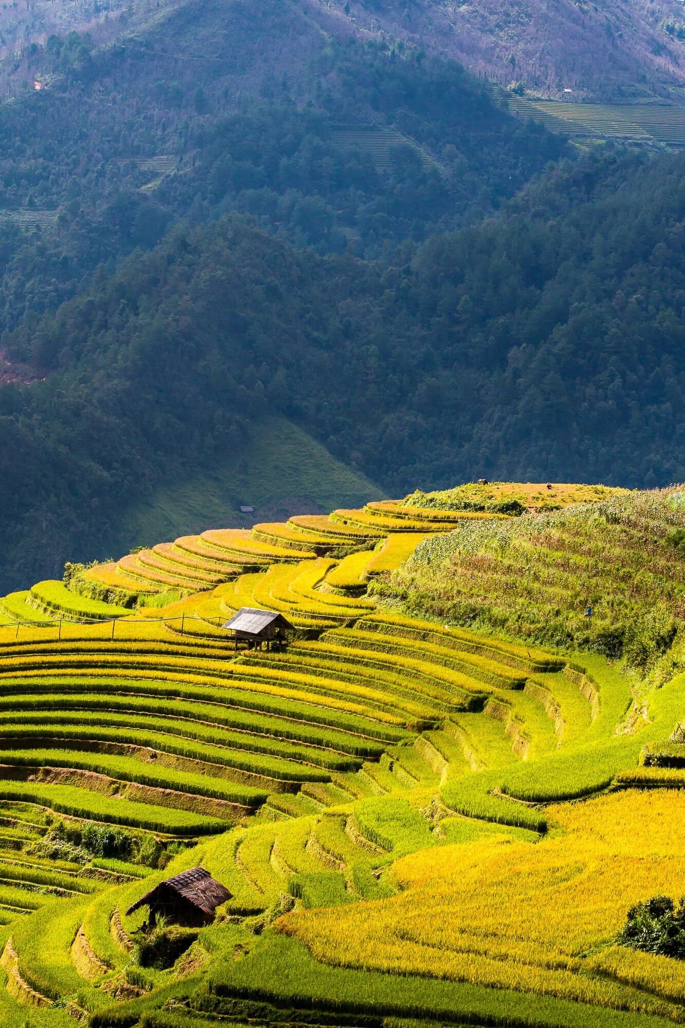 Sa Pa  