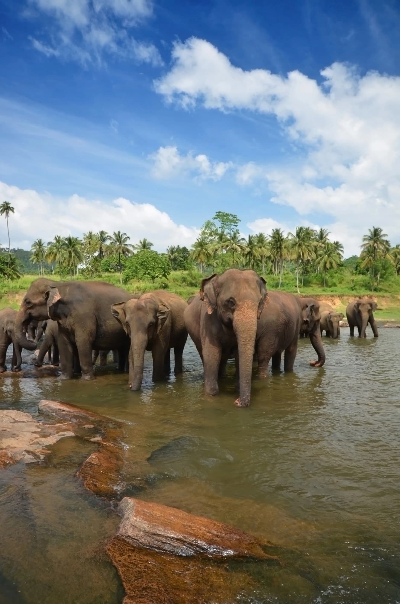 Sri Lanka
