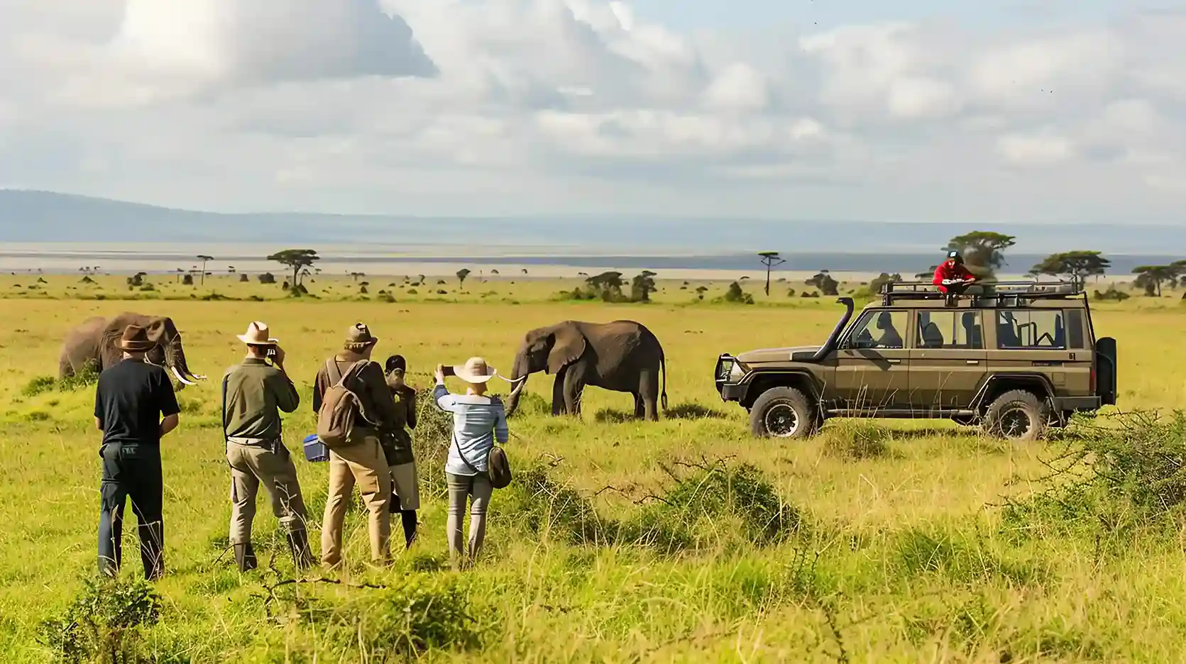 Group Tours