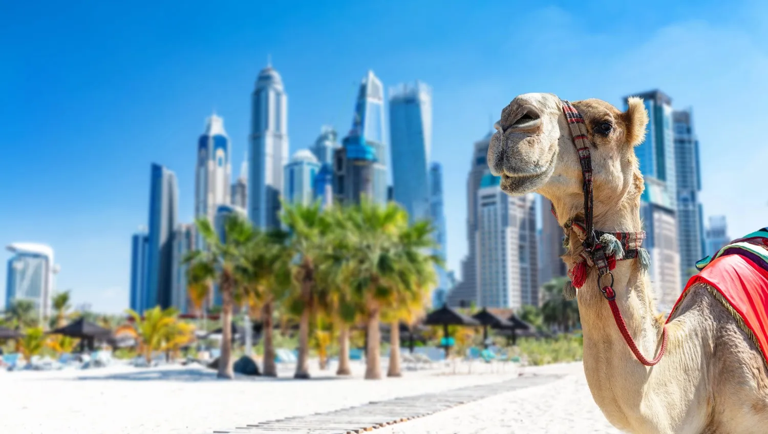 Travelers enjoying premium leisure travel experiences across the UAE, China, Kenya, Sri Lanka, and Vietnam