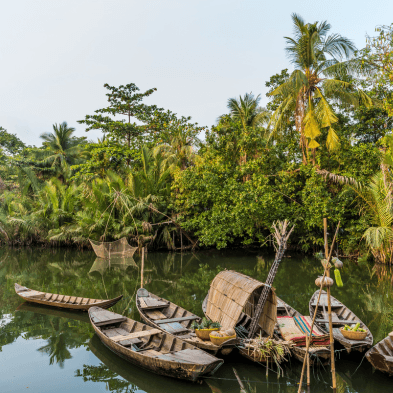Mekong Delta Boat Tour