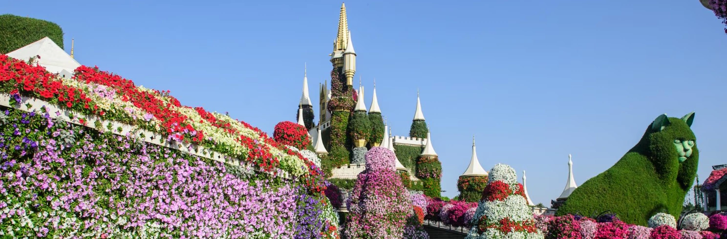 Dubai Miracle Garden